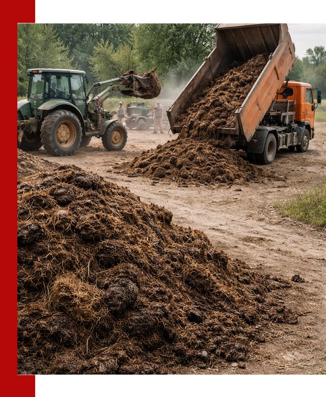 Доставка навоза самосвалами в Арзамасе для сельхозпотребностей